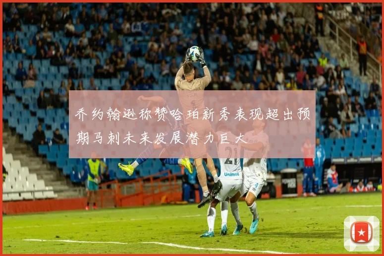 乔约翰逊称赞哈珀新秀表现超出预期马刺未来发展潜力巨大