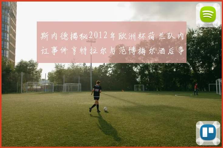 斯内德揭秘2012年欧洲杯荷兰队内讧事件亨特拉尔与范博梅尔酒后争执内幕